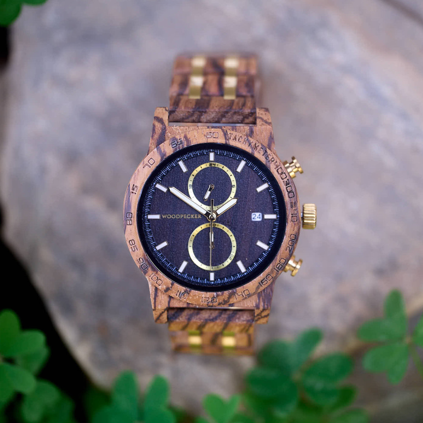 DuneWalnutWoodWatch10.jpg Dune - zebrano - Image 1