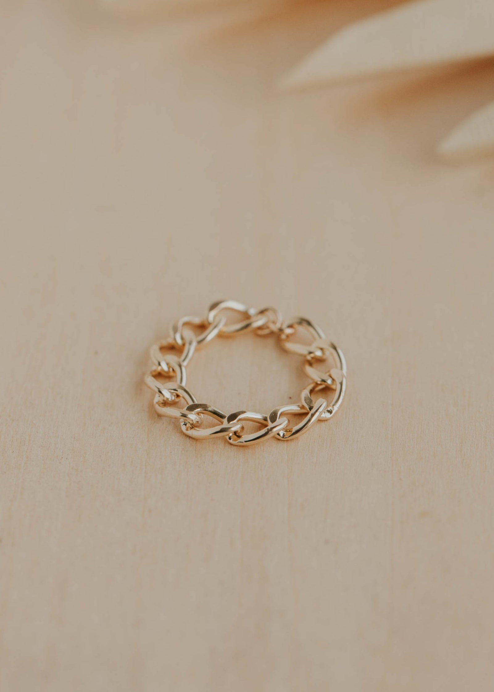 dylanchainring-gf.jpg Dylan Chain Ring - Image 1