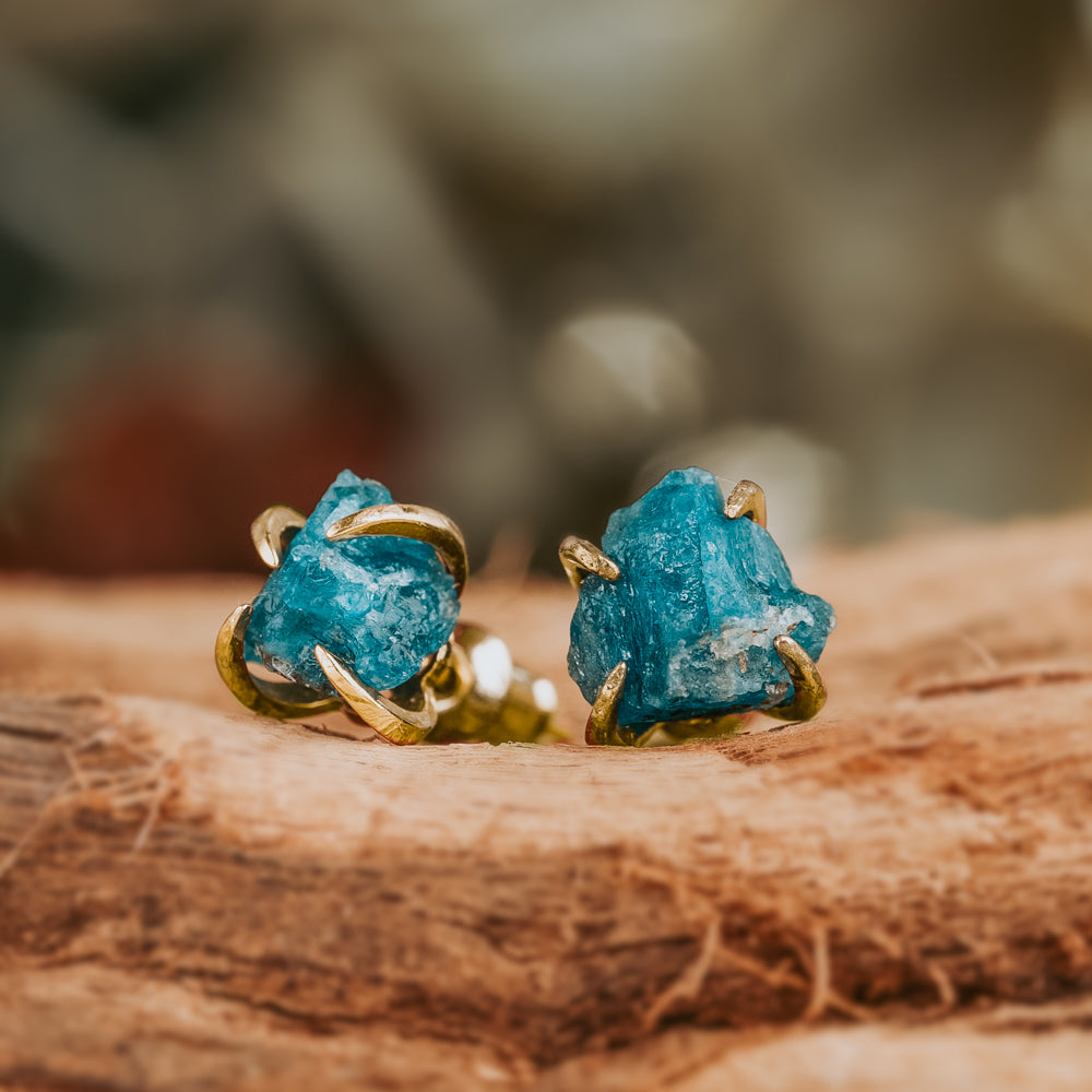 earringinnatureupdate0008-Edit.jpg Stella Apatite Claw Studs - Image 1