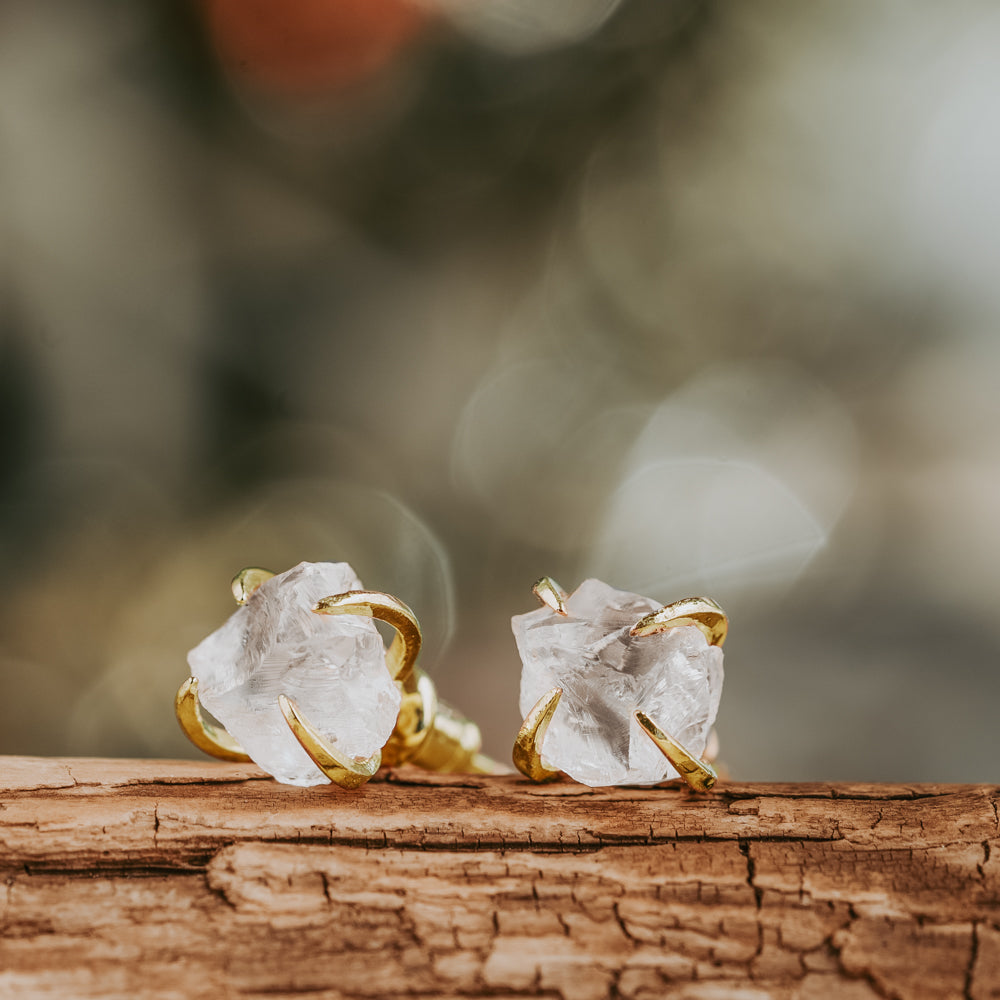 earringinnatureupdate0046-Edit.jpg Stella Clear Crystal Claw Studs - Image 1